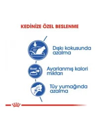 Ürün görseli 4