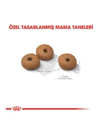 Ürün görseli 2
