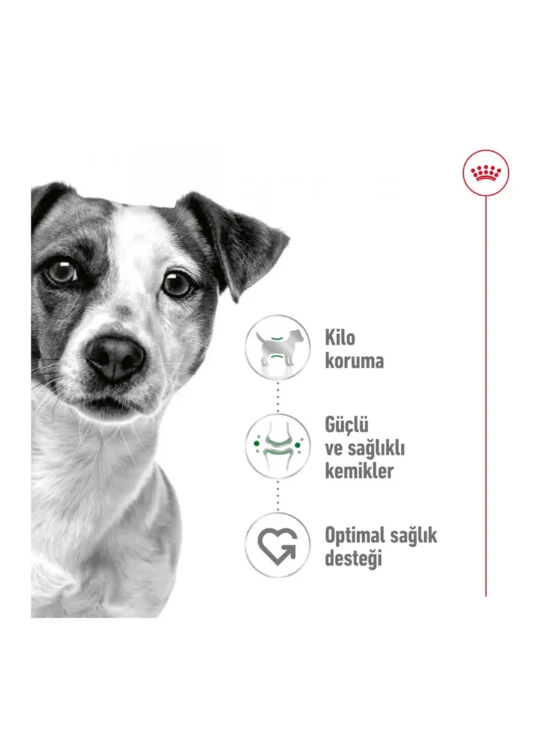 Ürün görseli 4