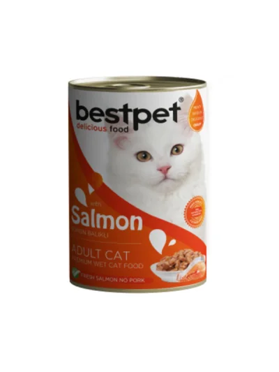 Best Pet Somonlu Kedi Konserve 400 Gram