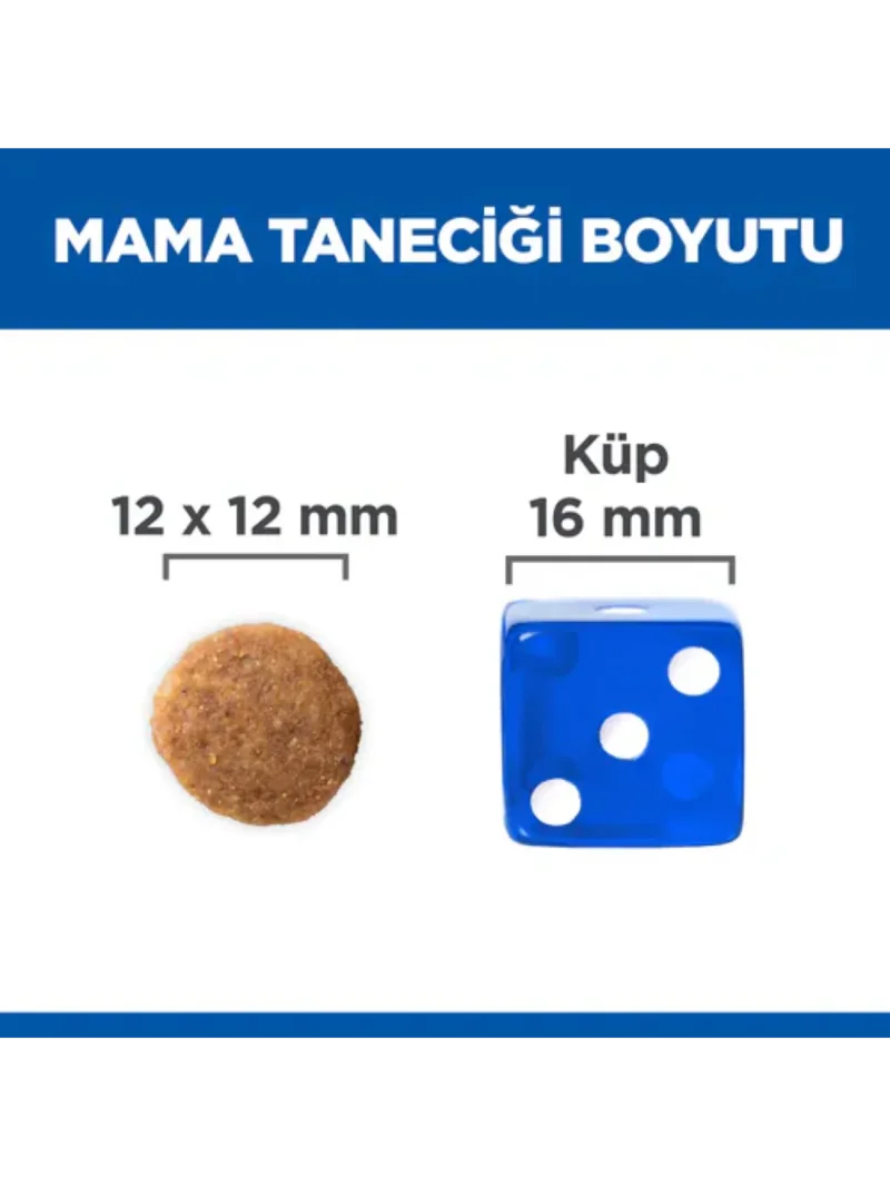 Ürün görseli 2