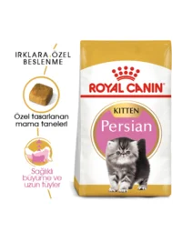 Ürün görseli 6