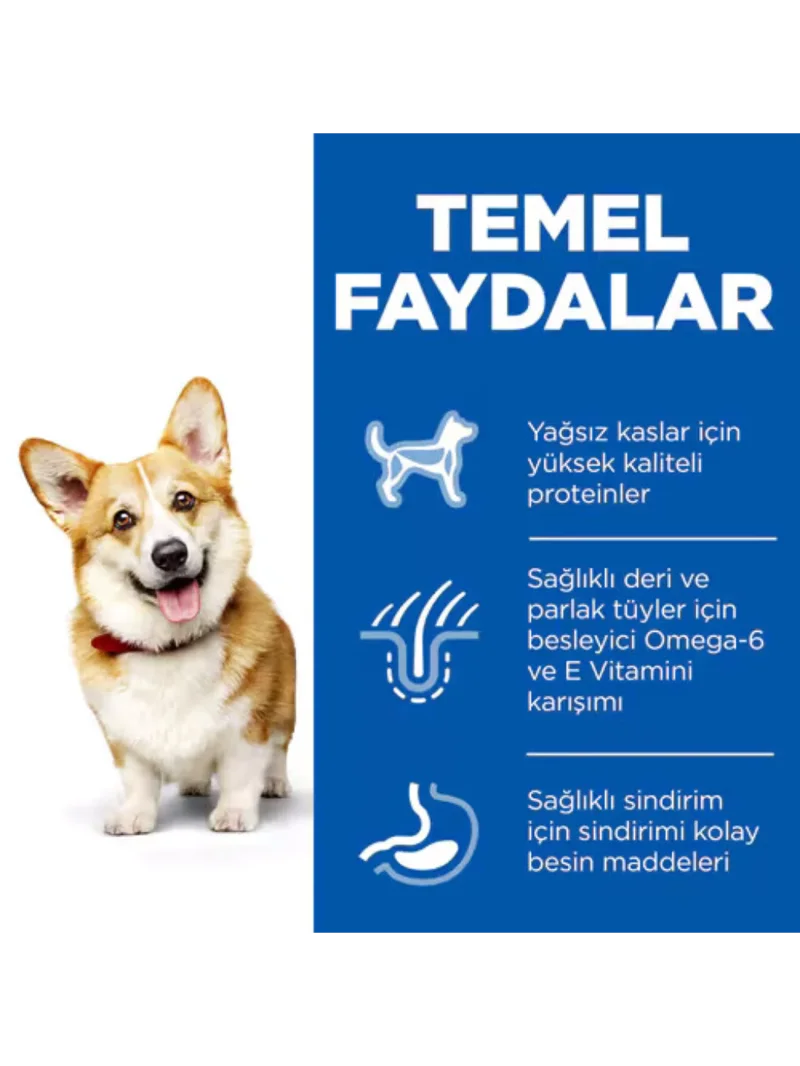 Ürün görseli 4