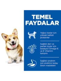 Ürün görseli 4