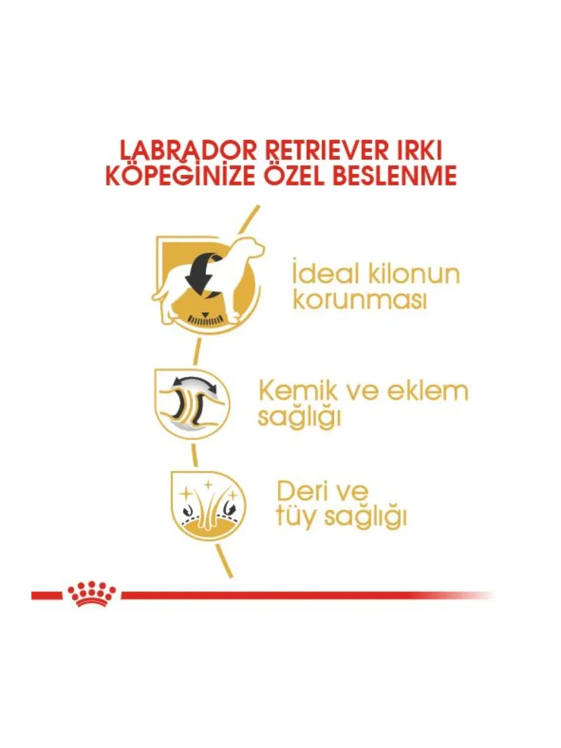 Ürün görseli 4