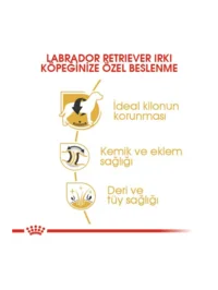 Ürün görseli 4