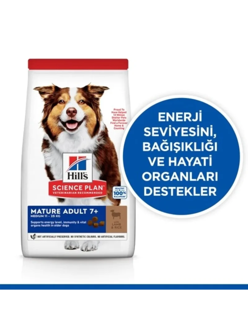 Ürün görseli 3