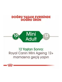 Ürün görseli 3