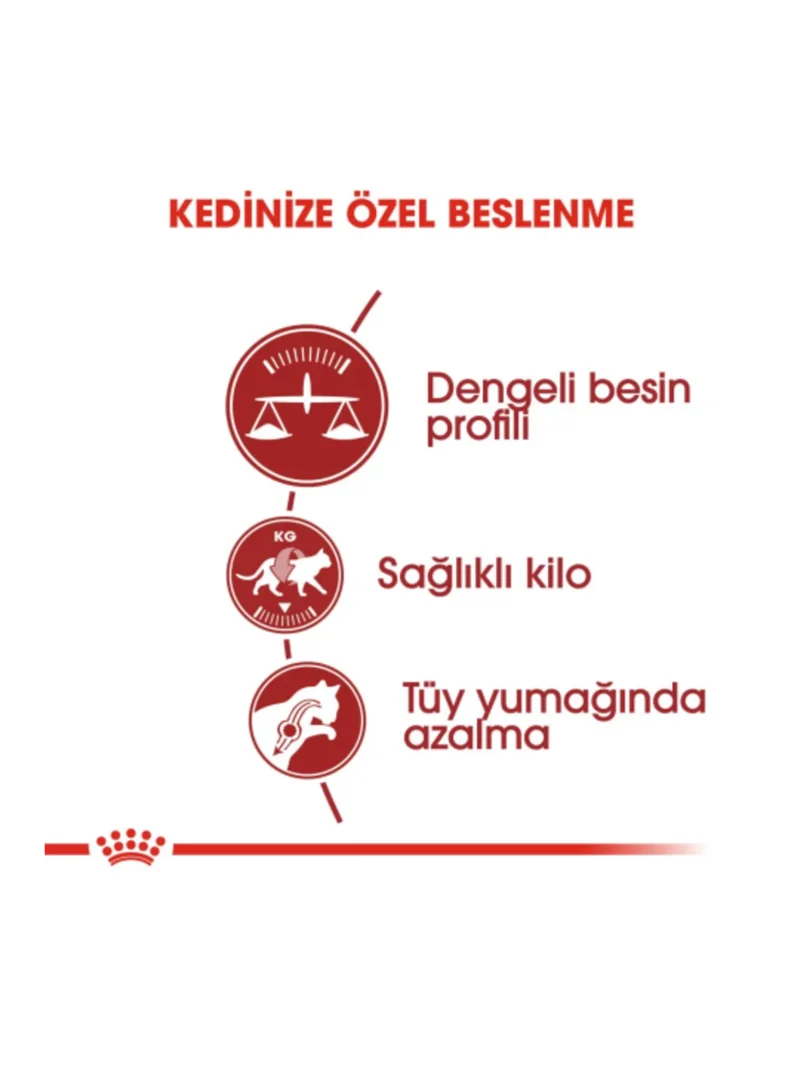 Ürün görseli 2