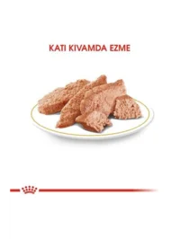 Ürün görseli 1