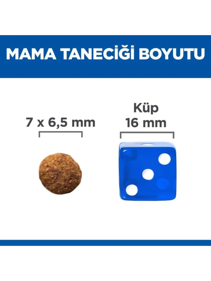 Ürün görseli 2
