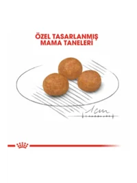 Ürün görseli 4