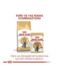 Ürün görseli 4