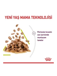 Ürün görseli 2