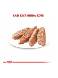 Ürün görseli 3