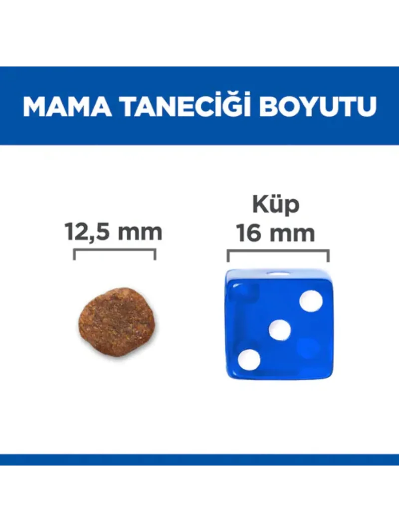 Ürün görseli 2