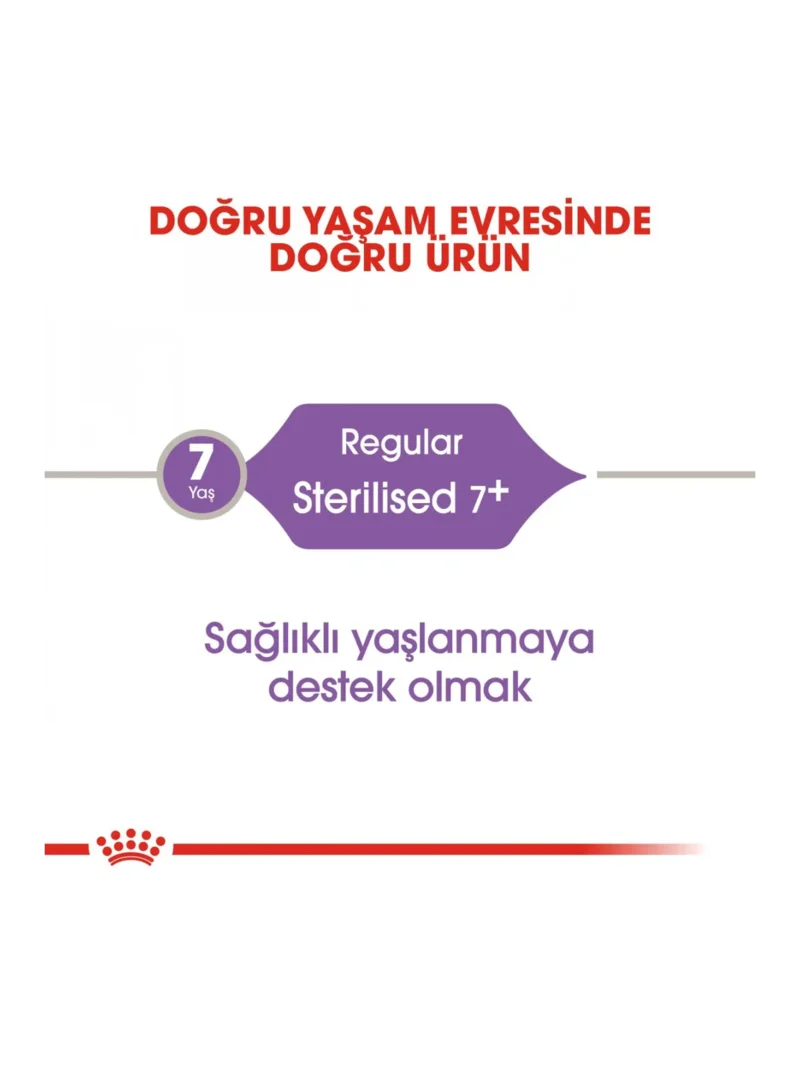 Ürün görseli 4