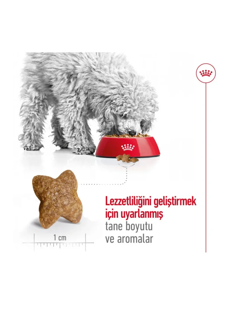 Ürün görseli 6