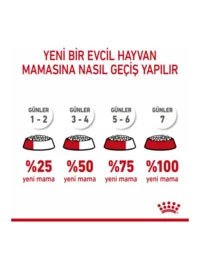 Ürün görseli 2