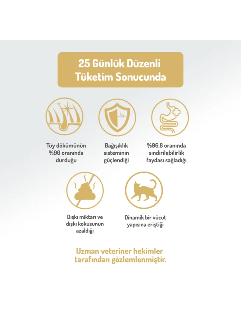 Ürün görseli 4