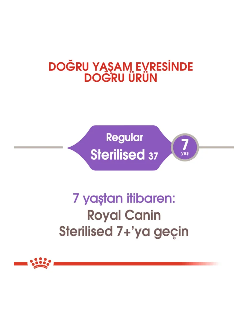 Ürün görseli 6