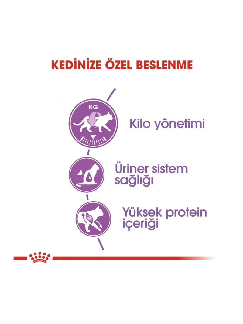 Ürün görseli 3