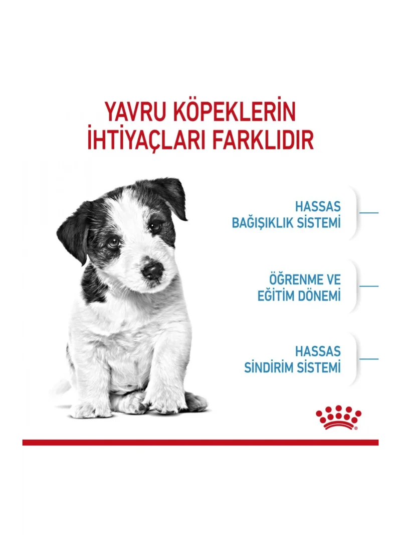 Ürün görseli 4