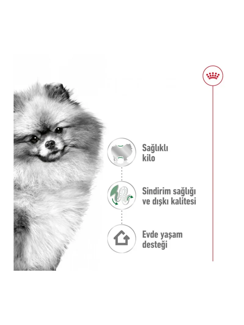 Ürün görseli 4