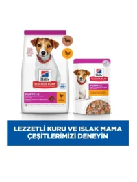 Ürün görseli 4