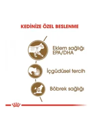 Ürün görseli 3