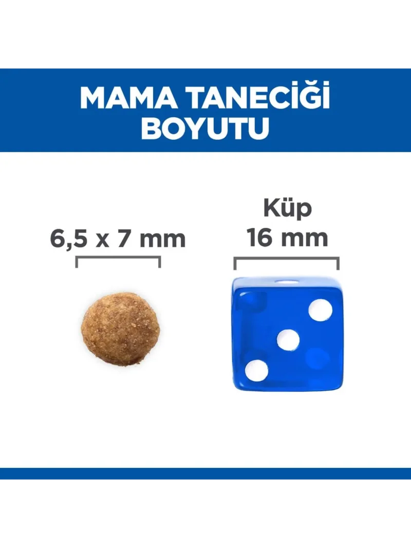 Ürün görseli 2