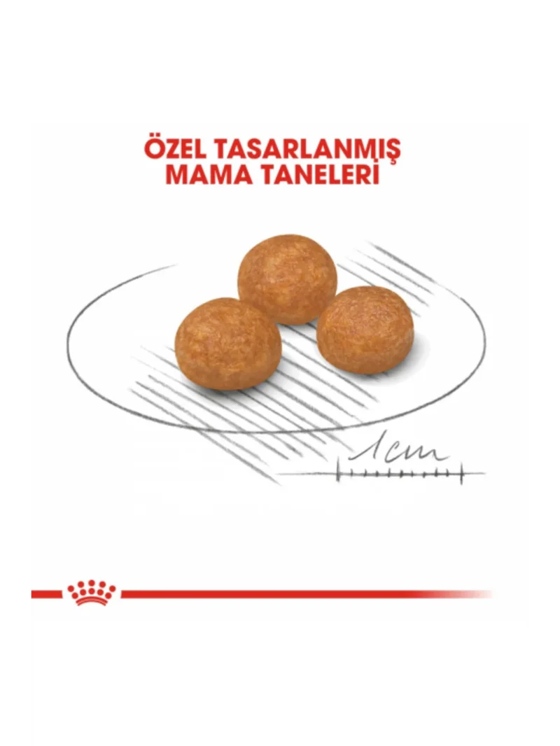Ürün görseli 5