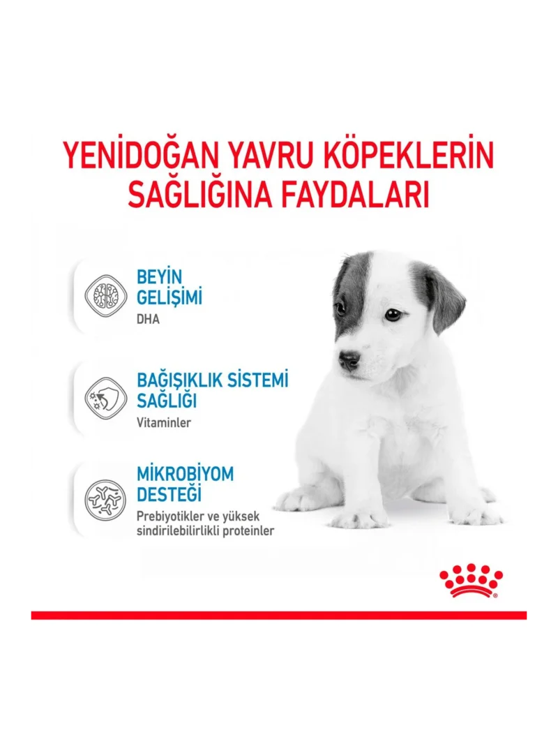 Ürün görseli 4