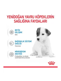 Ürün görseli 4
