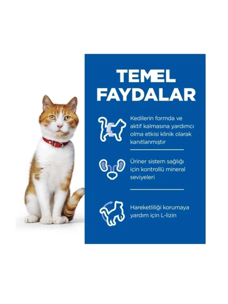 Ürün görseli 4