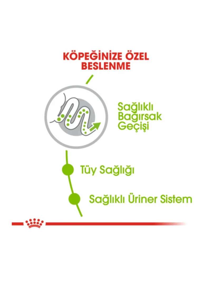 Ürün görseli 4