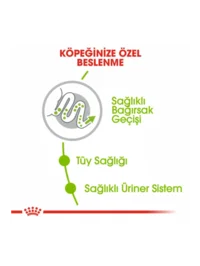 Ürün görseli 4