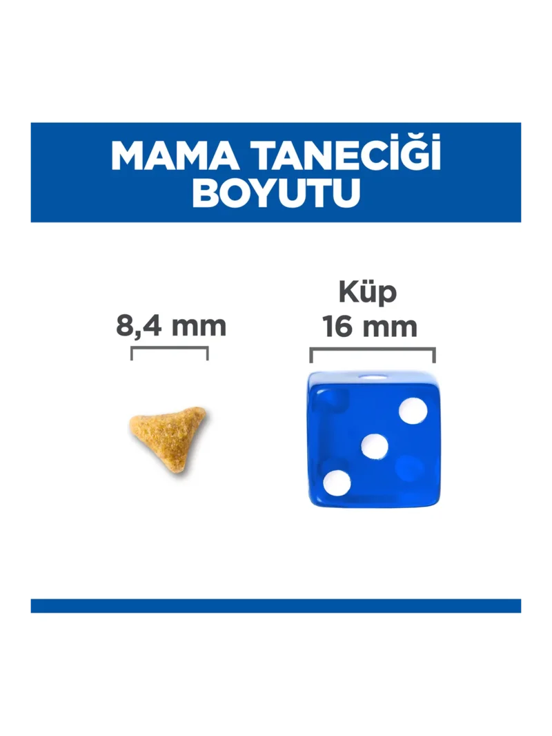 Ürün görseli 2
