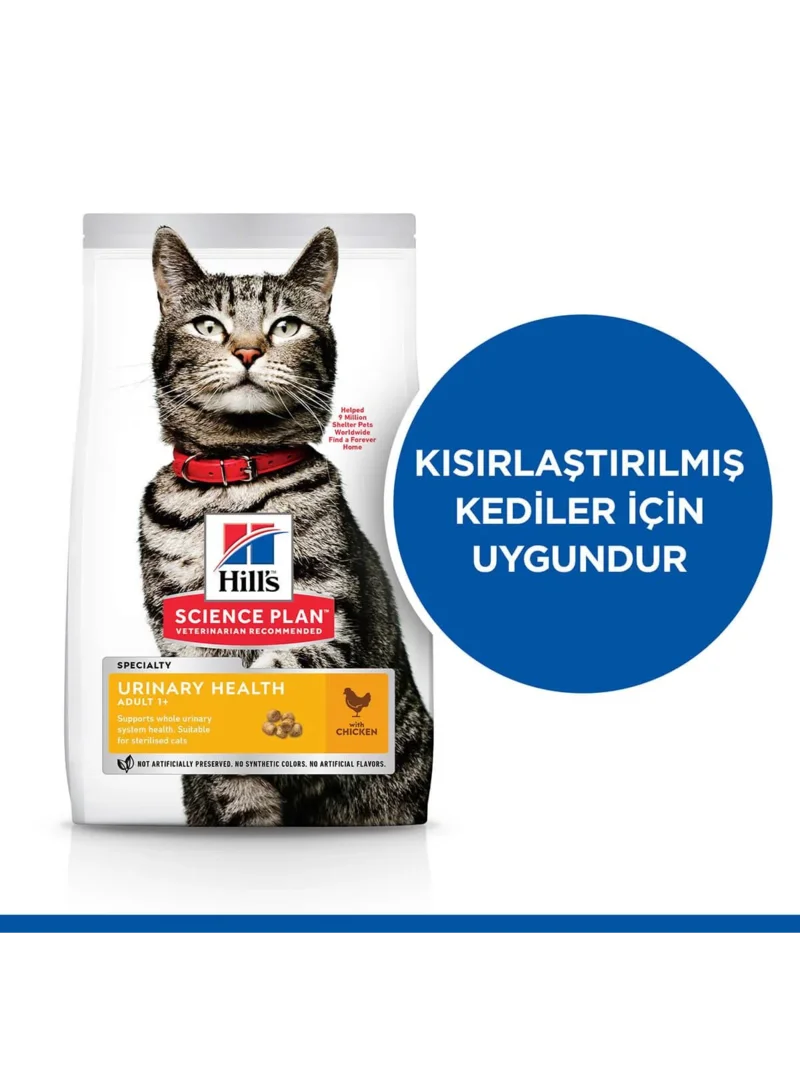 Ürün görseli 3