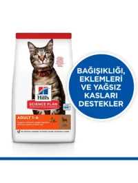 Ürün görseli 1