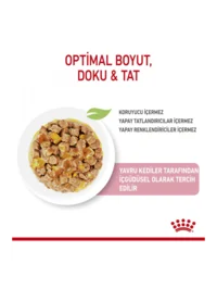 Ürün görseli 4