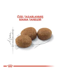 Ürün görseli 5