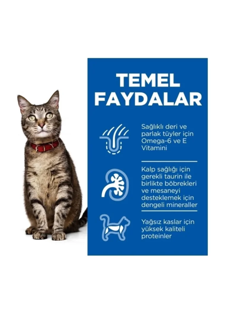 Ürün görseli 5