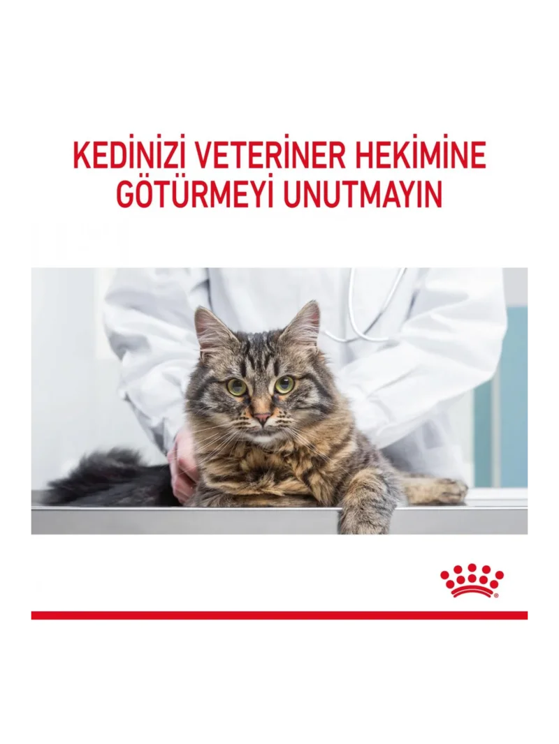 Ürün görseli 4
