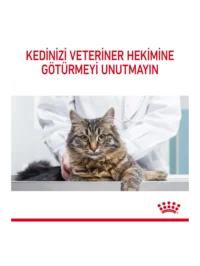 Ürün görseli 4