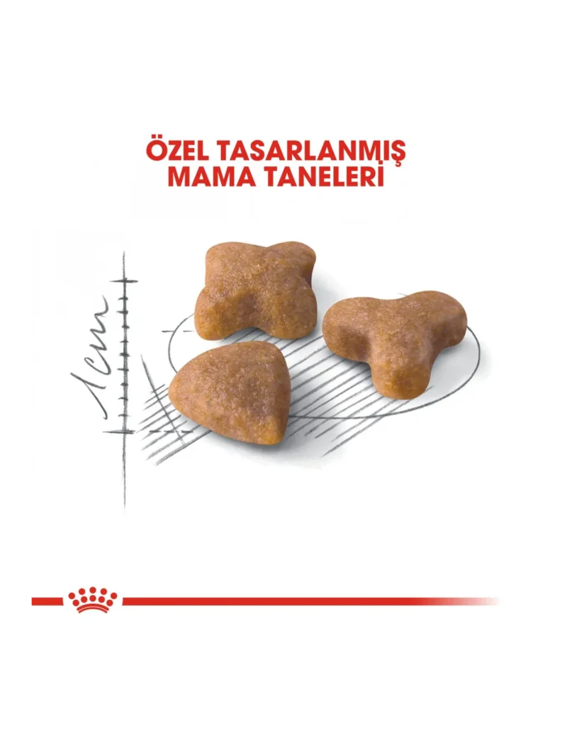 Ürün görseli 5