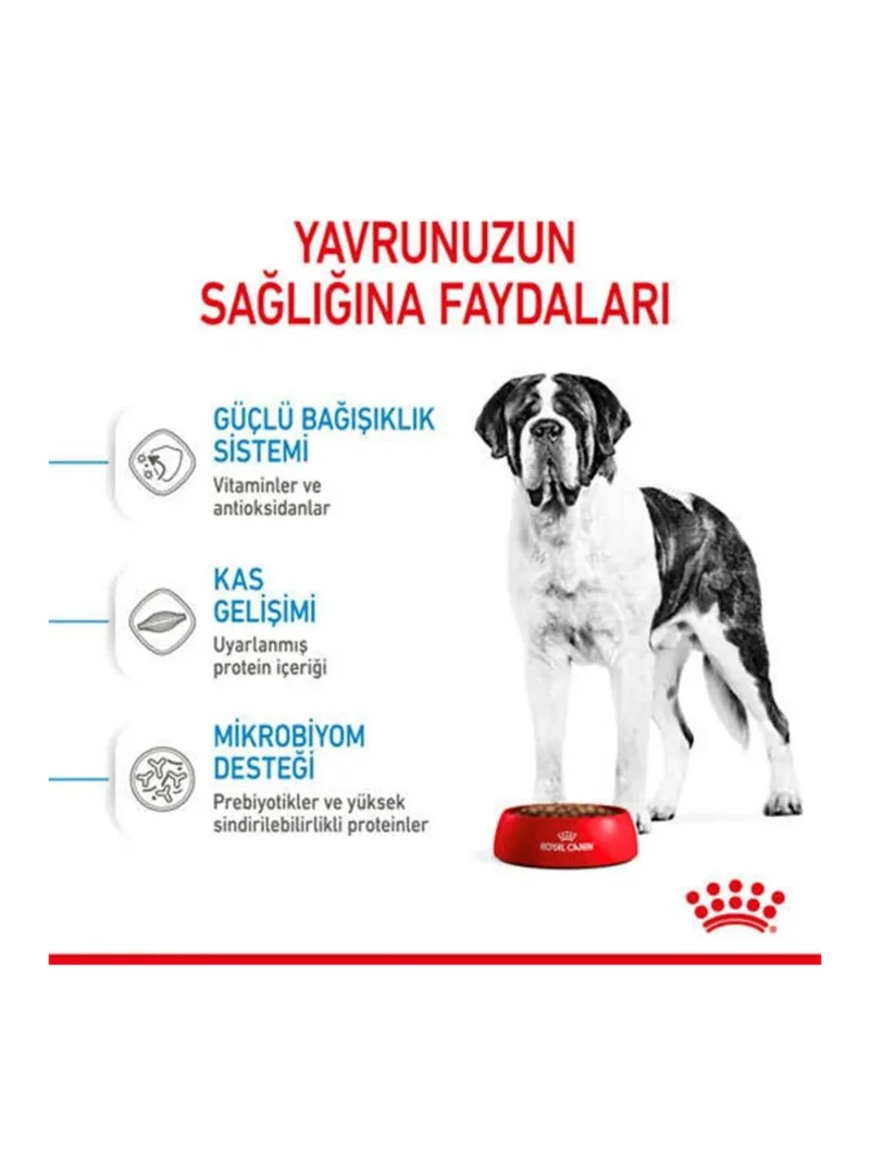 Ürün görseli 3