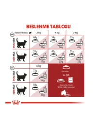 Ürün görseli 4