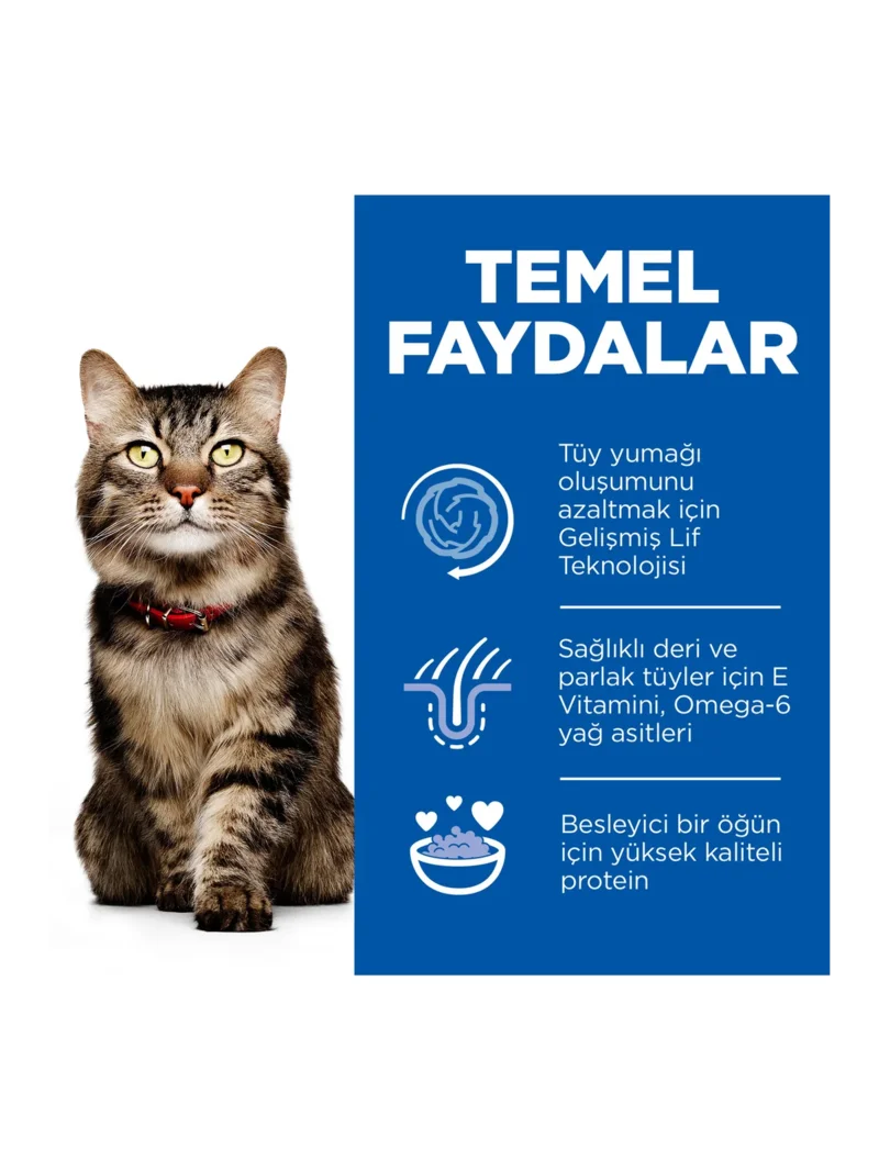 Ürün görseli 4