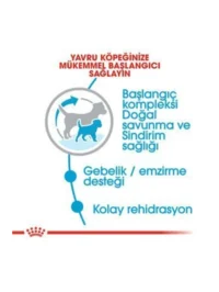 Ürün görseli 2